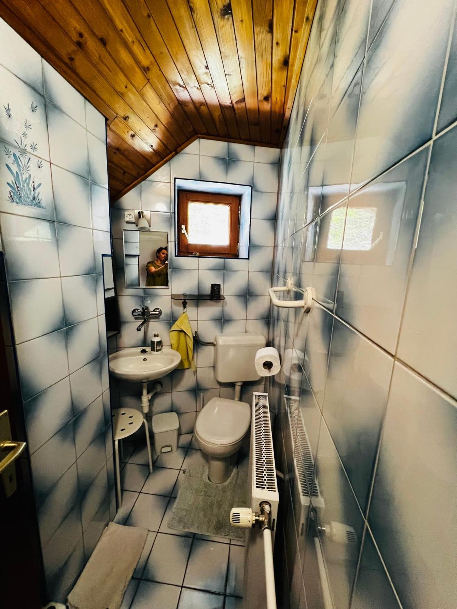 Apartma Lip Rateče エクステリア 写真